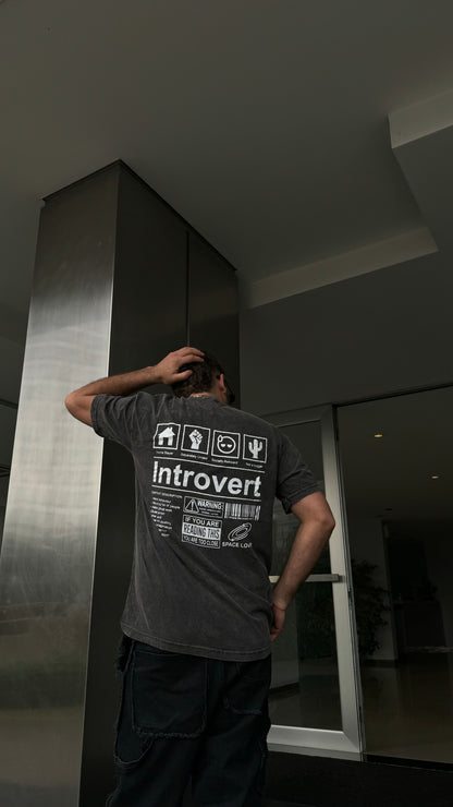 Remera Introvert  negro nevada oversize 013