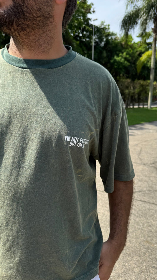 Remera perfect boxi